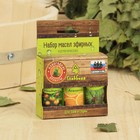 Набор эфирных масел "Новогодние ароматы" косметический, 3 шт по 17 мл - Фото 1
