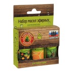 Набор эфирных масел "Новогодние ароматы" косметический, 3 шт по 17 мл - Фото 2