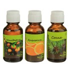 Набор эфирных масел "Новогодние ароматы" косметический, 3 шт по 17 мл - Фото 3