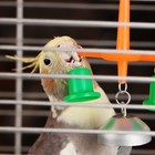Игрушка для птиц с колокольчиком №2 микс цветов - Фото 2