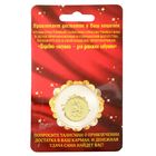 Талисман в кошелек "Счастливая лягушка" с монетой - Фото 4