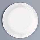 Набор бумажной посуды одноразовый Сегодня буду вдрабадан»: 6 тарелок, 6 стаканов - фото 4612404