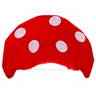 Карнавальный набор «Лесной мухомор», фетр 9343897