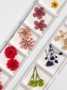 Сухоцветы для декора «Ассорти», объёмные, 12 видов, в футляре, разноцветные - Фото 2