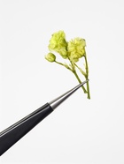 Сухоцветы для декора «Ассорти», объёмные, 12 видов, в футляре, разноцветные - Фото 3