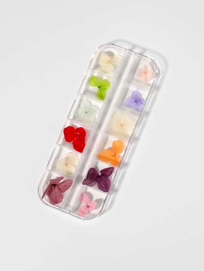 Сухоцветы для декора «Нежность», объёмные, 12 видов, в футляре, разноцветные