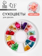 Сухоцветы для декора «Ромашки», объёмные, 12 видов, в футляре, разноцветные - Фото 1