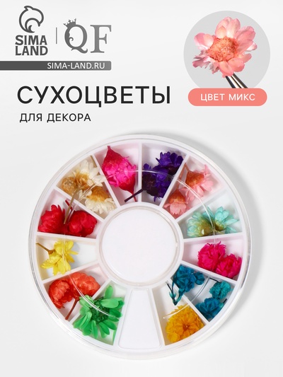 Сухоцветы для декора «Ромашки», объёмные, 12 видов, в футляре, разноцветные