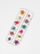 Сухоцветы для декора, 12 видов, в футляре, разноцветные - Фото 1