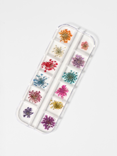 Сухоцветы для декора, 12 видов, в футляре, разноцветные