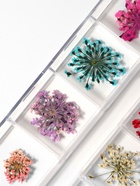 Сухоцветы для декора, 12 видов, в футляре, разноцветные - Фото 4