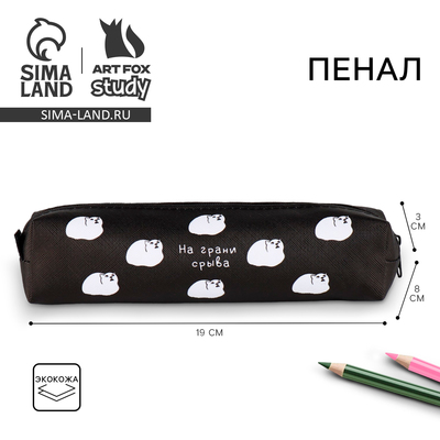 Пенал школьный, искусственная кожа«На грани срыва»19×8×3 см