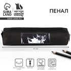 Пенал школьный, искусственная кожа«Аниме»19×8×3 см - Фото 1