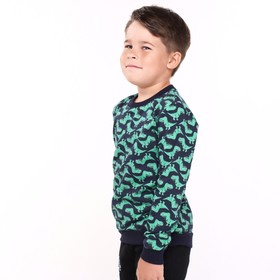 Свитшот для мальчика, цвет синий, рост 110 см