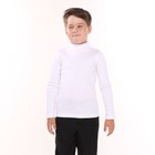 Водолазка для мальчика А.ММ 019-2, цвет белый, рост 116 см - фото 10598608