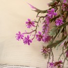 Букет «Лаванда декоративная», 37 см, МИКС 9499387