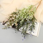 Букет «Лаванда декоративная», 37 см, МИКС 9499387