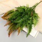 Букет искусственный «Папоротник атриум», h=35 см, МИКС (комплект 2 шт) - фото 24386063