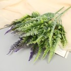 Букет искусственный «Папоротник атриум», h=35 см, МИКС (комплект 2 шт) - фото 24386064