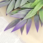 Букет искусственный «Эвкалипт галант люкс», 32 см, МИКС 9499397 - фото 13561249