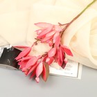 Цветы искусственные "Крокус галант" 40 см, микс - фото 319566040