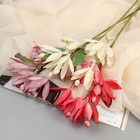 Цветы искусственные "Крокус галант" 40 см, микс - Фото 3
