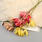 Цветы искусственные "Крокус галант" 40 см, микс - Фото 4