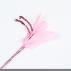 Дразнилка "Розовое Чудо" с перьями и бубенчиками 30 см, розовая - фото 6962860