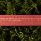 Зубная щетка для взрослых, бамбук «Улыбнись! » - фото 25275506