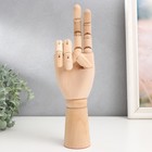 Фигурка «Шарнирная рука», дерево, 30 см - Фото 1