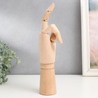 Фигурка «Шарнирная рука», дерево, 30 см - Фото 2