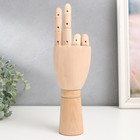 Фигурка «Шарнирная рука», дерево, 30 см - Фото 3