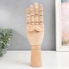 Фигурка «Шарнирная рука», дерево, 30 см - Фото 5