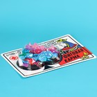 Леденцы на подложке «Фиговая дама», 30 г. - фото 22320753