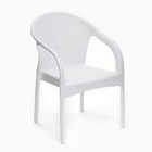 Кресло садовое "Ротанг" 64 х 58,5 х 84 см, белое - фото 3066257