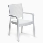 Кресло садовое "Ротанг" 57,5 х 58 х 86,5 см, белое - фото 10601059