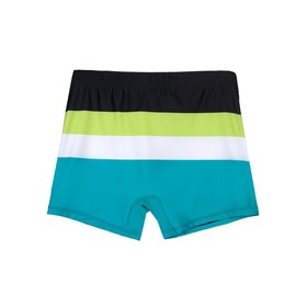 

Плавки-шорты для мальчиков, рост 152 см