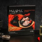 Сковорода чугунная на деревянной подставке Magma «Круг», 22×2,5 см, цвет чёрный - фото 8863609