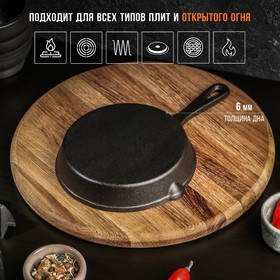 Сковорода чугунная Magma «Вилфред», 15.5×3 см, с 2 сливами и чугунной ручкой