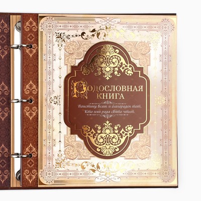 Родословная книга с рамкой под фото «Семейная летопись», 22.5×23.7 см