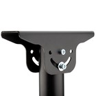 Кронштейн для телевизора Profi REXANT, до 25 кг, 13"- 42", потолочный, поворот и наклон - фото 51440647 Кронштейн для телевизора Profi REXANT, до 25 кг, 13"- 42", потолочный, поворот и наклон - фото 51440647