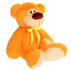 Мягкая игрушка «Медвежонок Саша», 29 см, МИКС - Фото 2