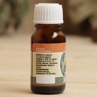 Дозатор-ароматизатор для бани и сауны "Сауна Ароматик" - Фото 6