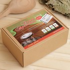 Дозатор-ароматизатор для бани и сауны "Сауна Ароматик" - Фото 9