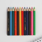 Цветные карандаши 12 цветов мини заточенные круглые деревянные - Фото 2