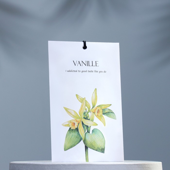 Аромасаше "Vanille" - фото 1919605350