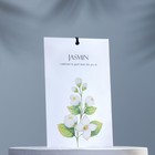 Аромасаше "Jasmin" - фото 319572120