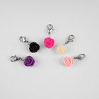 Маркеры для петель «Розы», d = 10 мм, 5 шт, цвет разноцветный - Фото 2