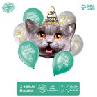 Букет из шаров «С днём рождения. Кот», фольга, латекс, набор 7 шт. - фото 319572612