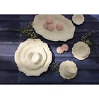 Салатник фарфоровый Magistro «Сюита», 80 мл, d=10,5 см, цвет белый - Фото 10